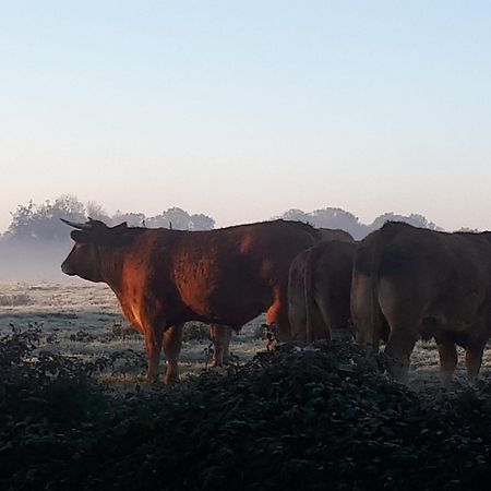 Veeningen Landelijk Gelegen Huisje Op Erf מראה חיצוני תמונה