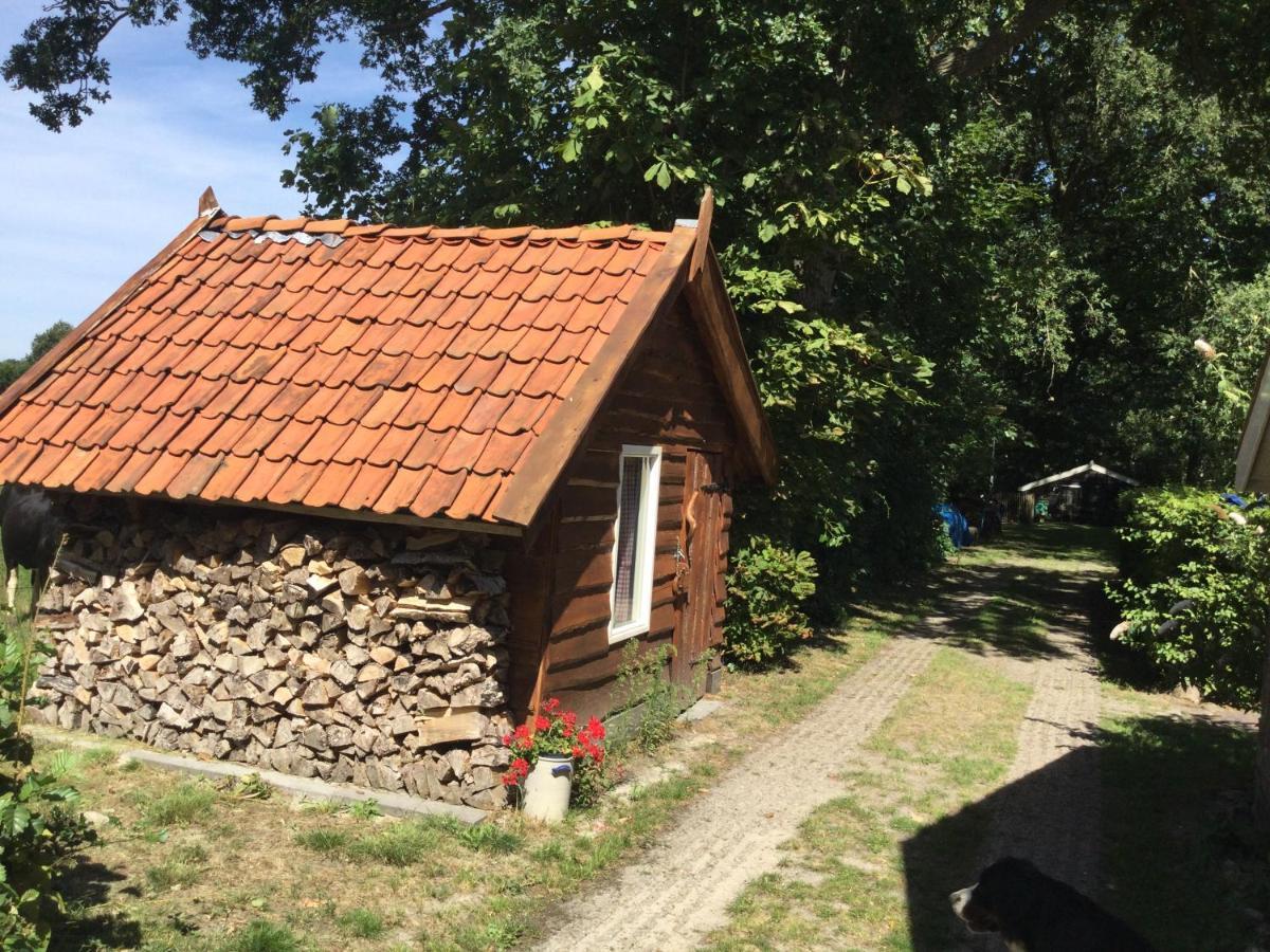 Veeningen Landelijk Gelegen Huisje Op Erf מראה חיצוני תמונה