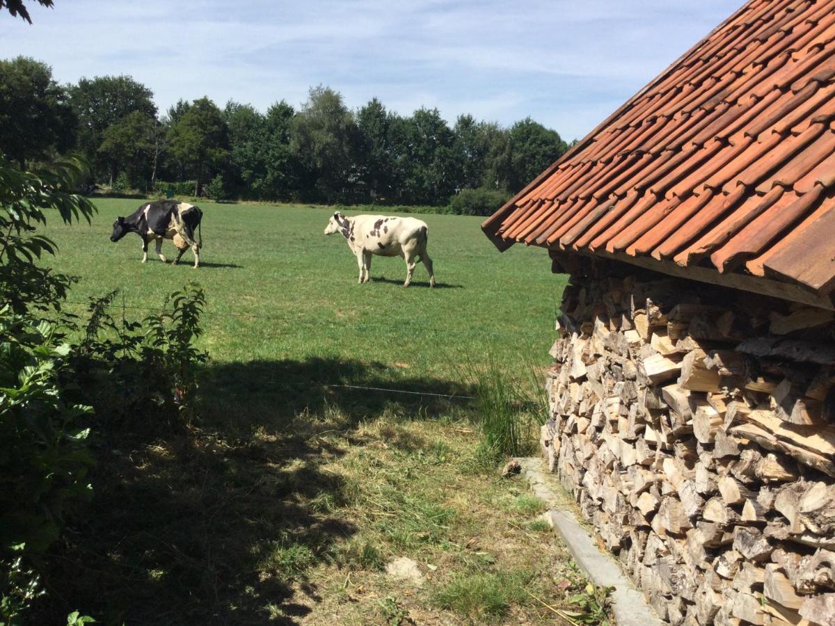 Veeningen Landelijk Gelegen Huisje Op Erf מראה חיצוני תמונה